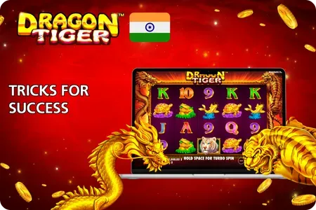 Dragon Tiger online casino tips and tricks